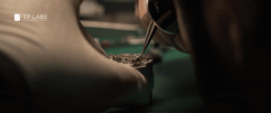 Real Watch Examination
